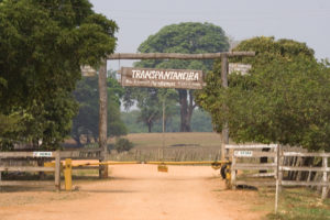 Gate to the Pantanal Transpantaniera by Peg Abbott