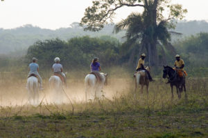 Posada Horseback Ride by Mark Wetzel