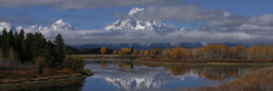 Fall is golden in greater Yellowstone