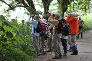 Birding the New World Tropics