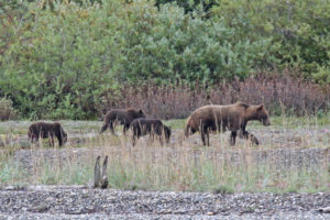 Southeast Alaska