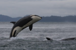 Southeast Alaska