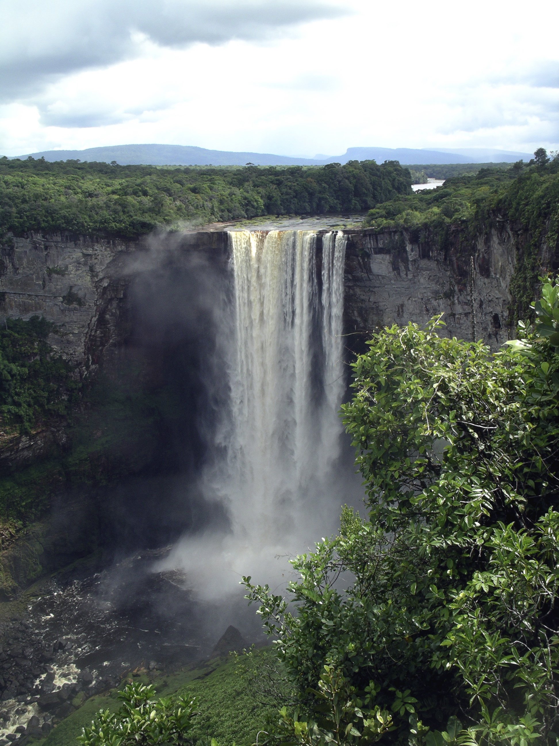 Guyana Nature Tour