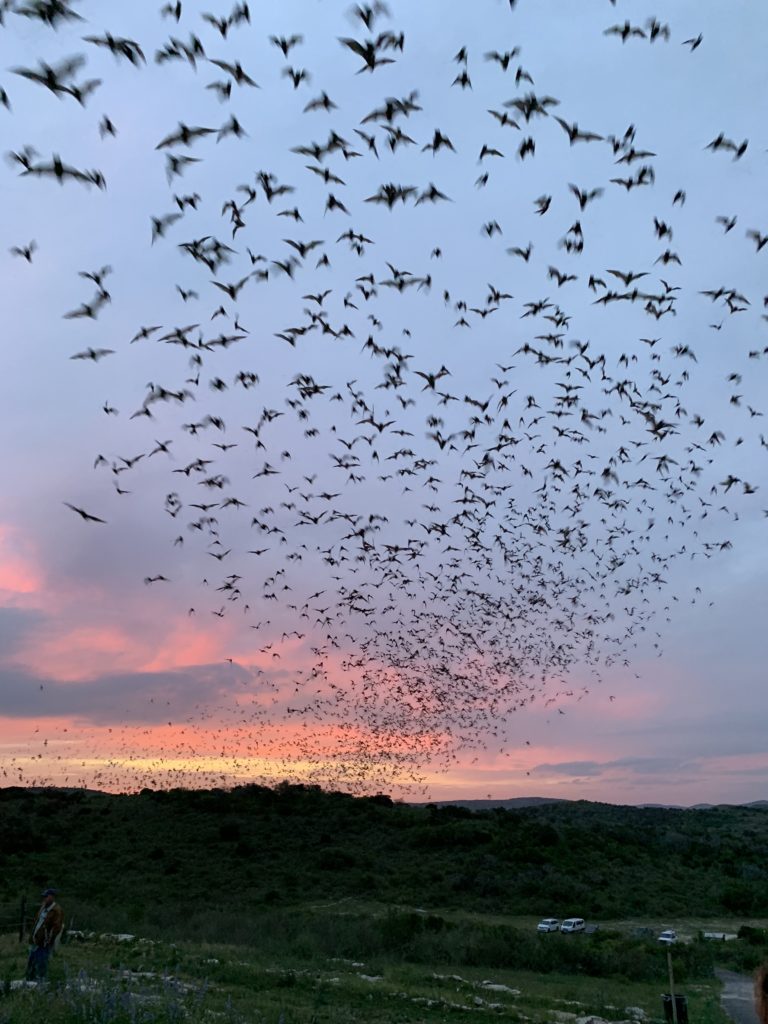 Texas Hill Country