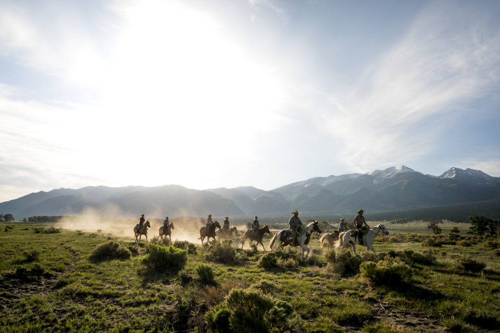 Colorado birding tour