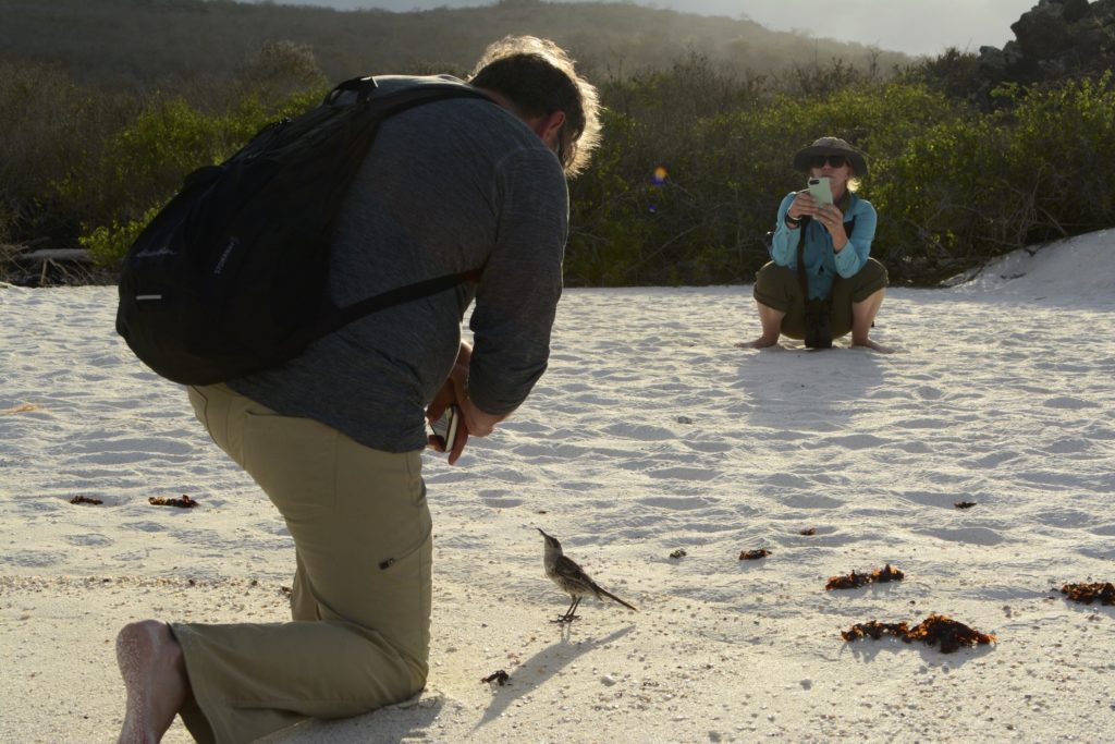 Up-close photography is easy on our vaccinated cruises to the Galapagos birds you could see on Naturalist Journeys' vaccinated cruises