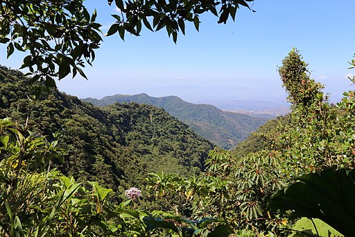 Monteverde Reserve Costa Rica