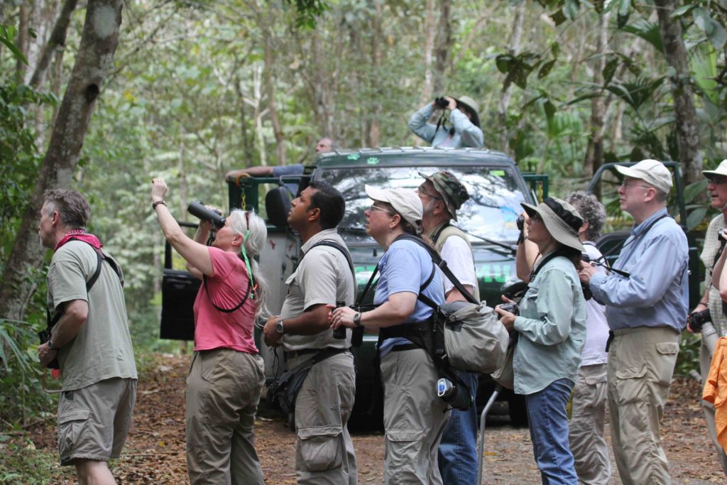 Panama birding is an all-hands-on-deck affair when we get into a mixed flock!