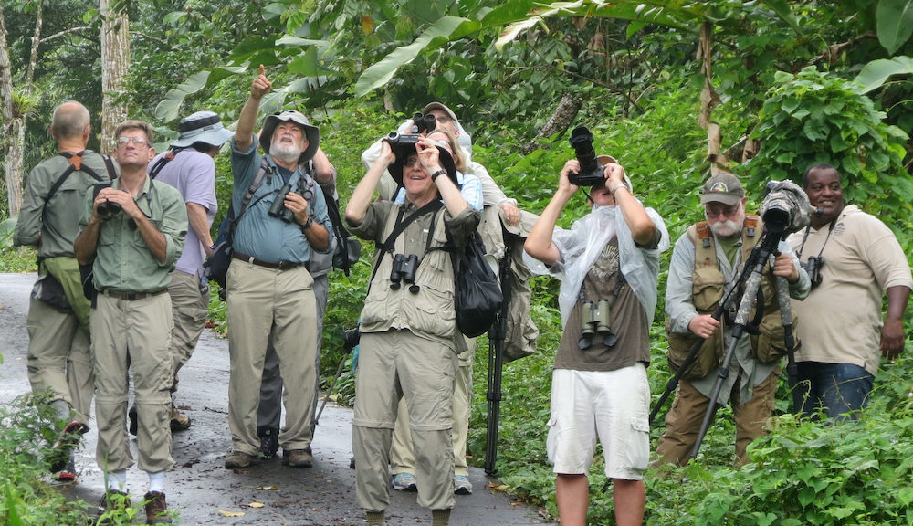 eBird checklist data from our Trinidad and Tobago guides is super useful!