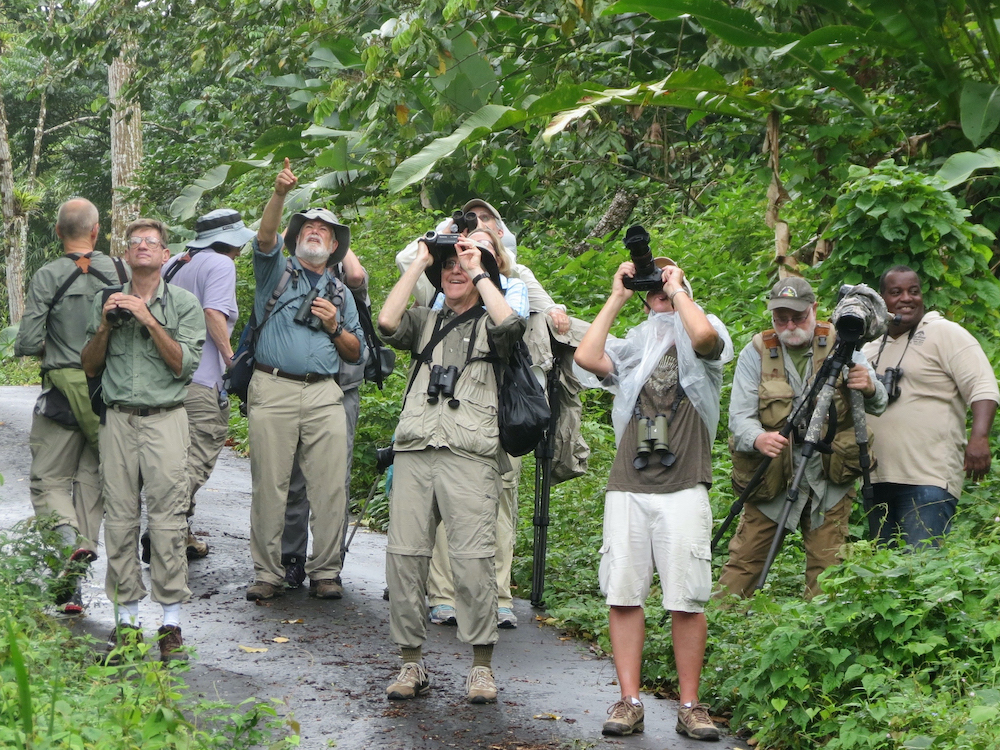 eBird checklist data from our Trinidad and Tobago guides is super useful!