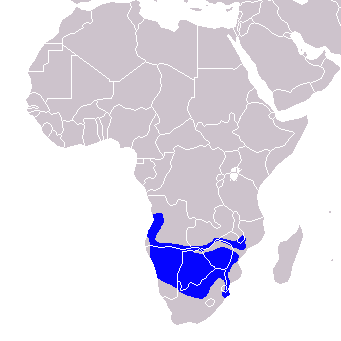 the range of Southern Yellow-bill Hornbill in southern Africa.