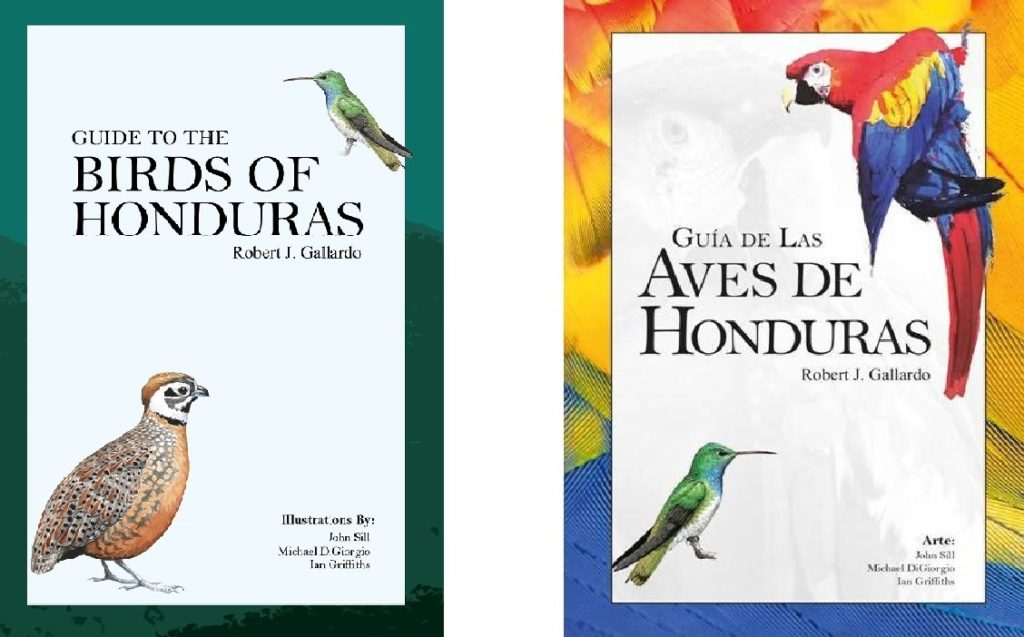 butterfly guide and bird guide author Robert Gallardo has Honduras Covered!