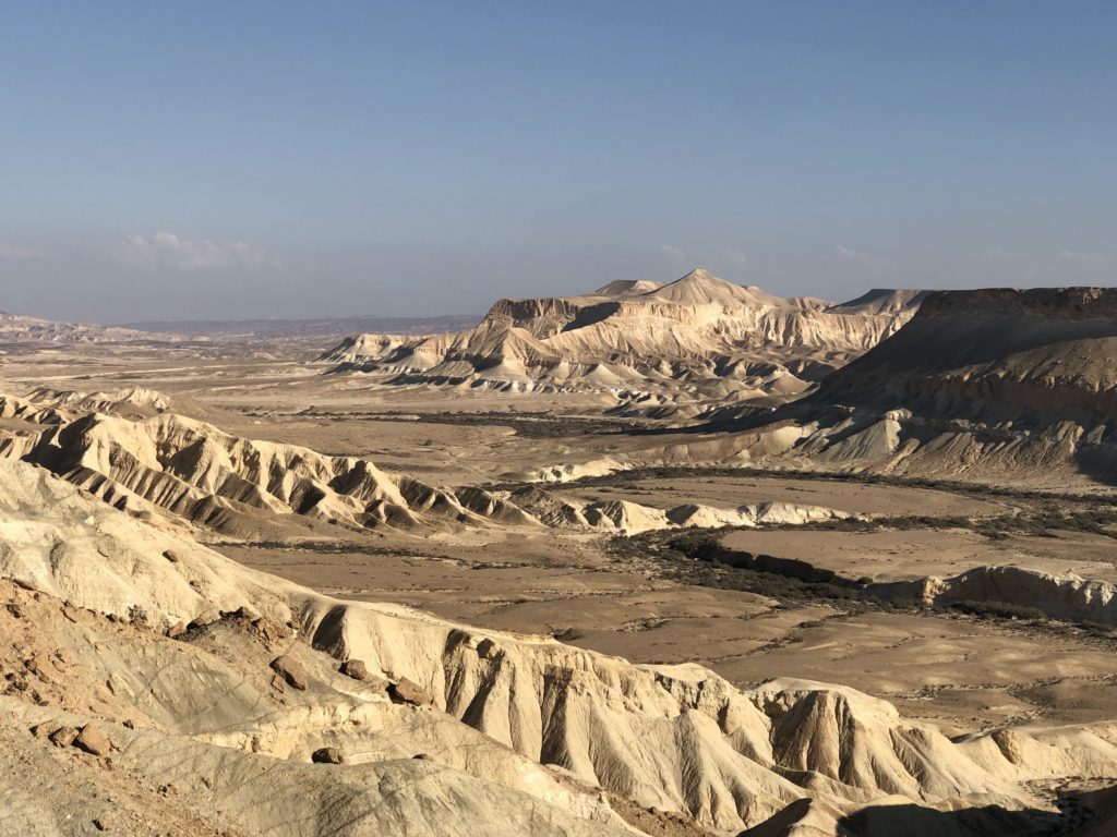 Israel Birds Nature and Culture Tour from Naturalist Journeys