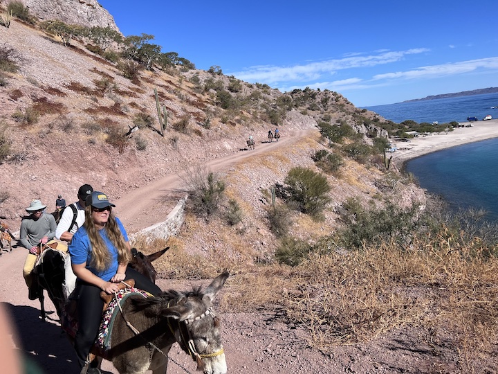 Riding burros in baja mexico